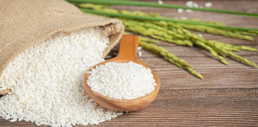 Trading Staple Food and Food sack rice with rice wooden spoon rice plant